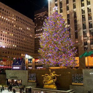 Everything You Need To Know About The 2020 Rockefeller Christmas Tree ...