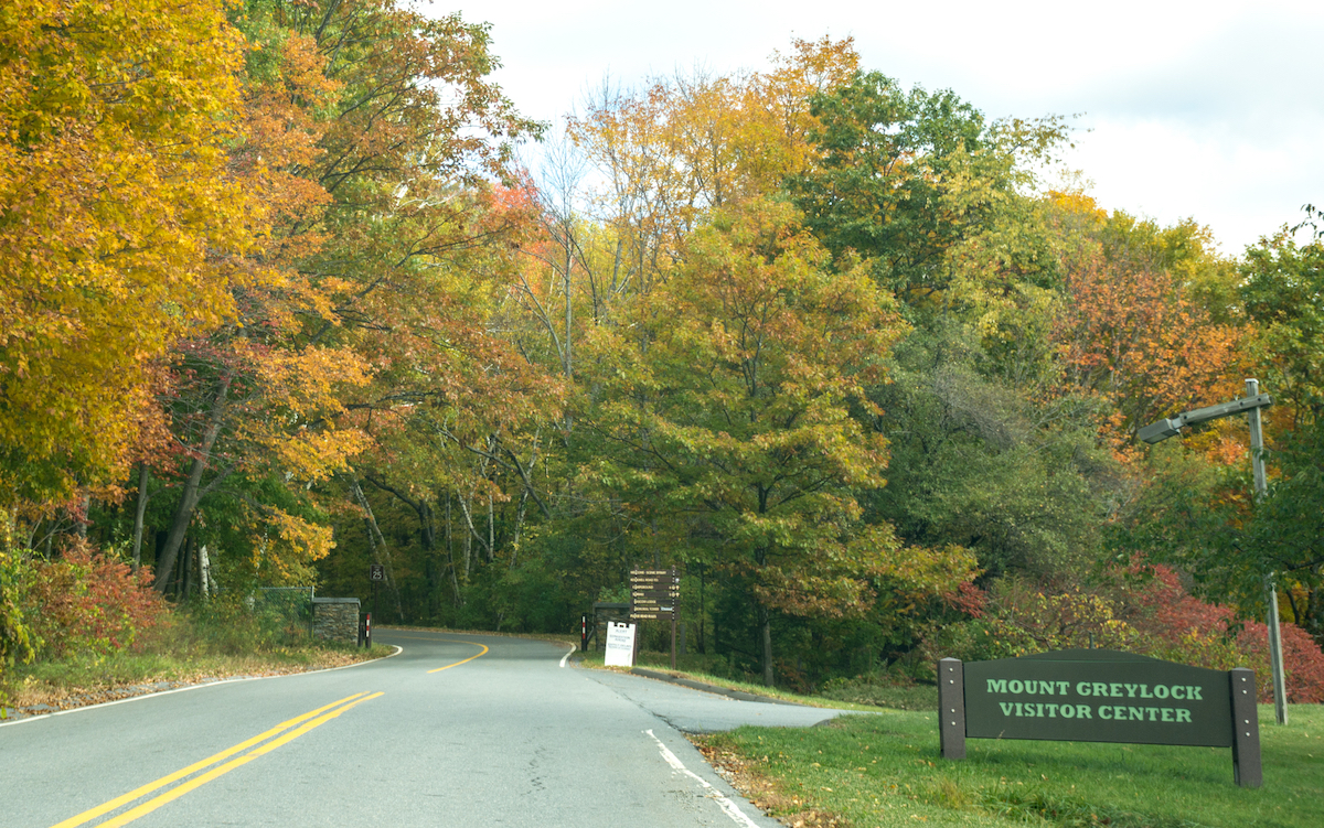 Things To Know Before Visiting Mount Greylock