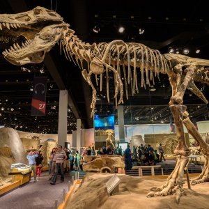 6 Best Places To Experience Dinosaurs In Canada