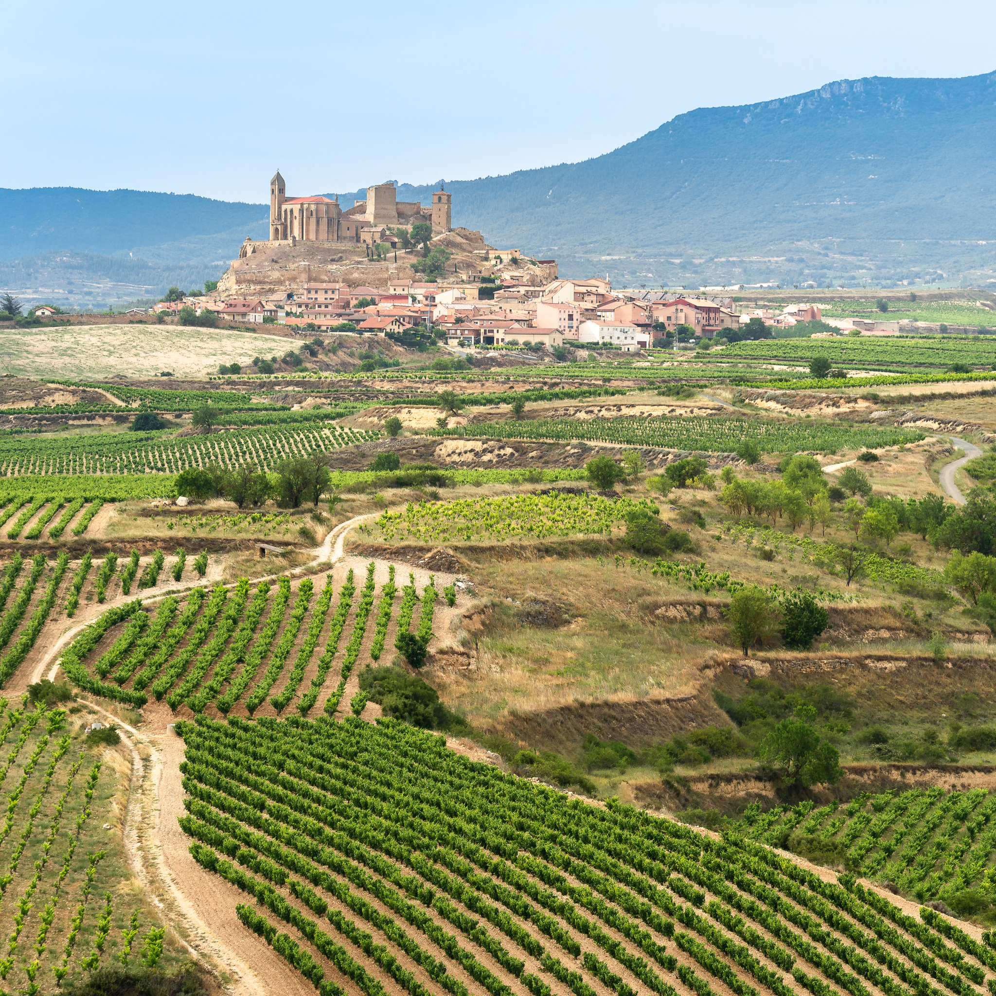 The 7 Best International Wine Regions According To A Wine Lover