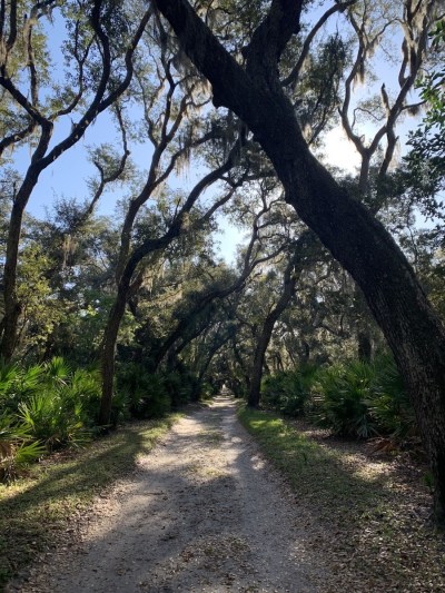 Best Things To Do On Beautiful Cumberland Island