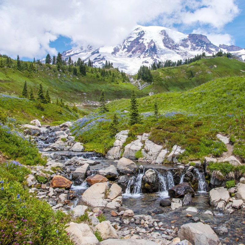 7 Best Hikes In Mount Rainier National Park | TravelAwaits