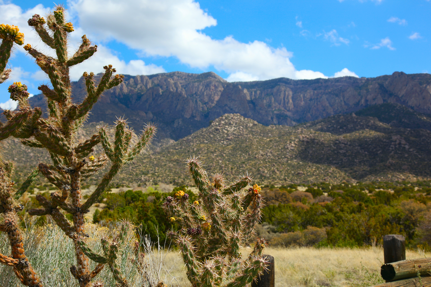 10 Best Hikes In Gorgeous New Mexico