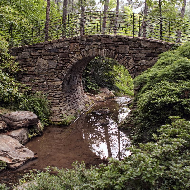 Best Things To Do In Garvan Woodland Gardens