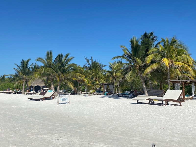 Isla Holbox vs Isla Mujeres, Mexico: 5 Major Differences To Learn ...