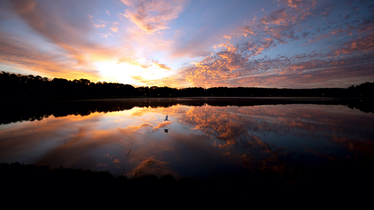 ミシシッピ州の歴史的な子午線でやるべき9つの素晴らしいこと