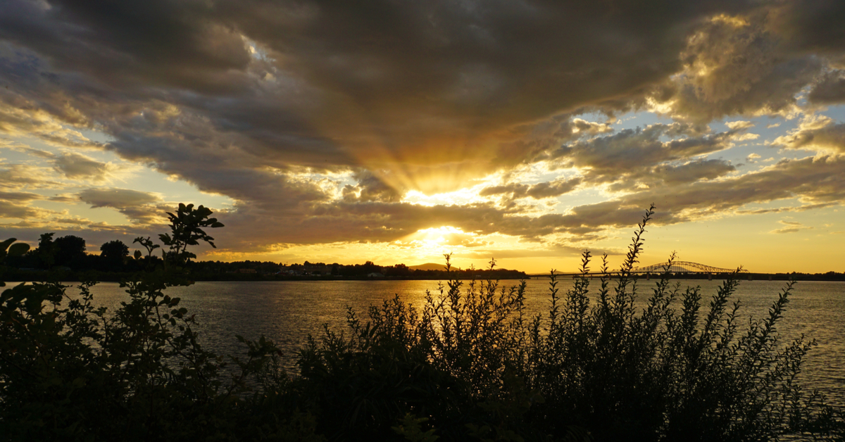Best Things To Do In Pasco TravelAwaits Best Things To Do In Pasco TravelAwaits