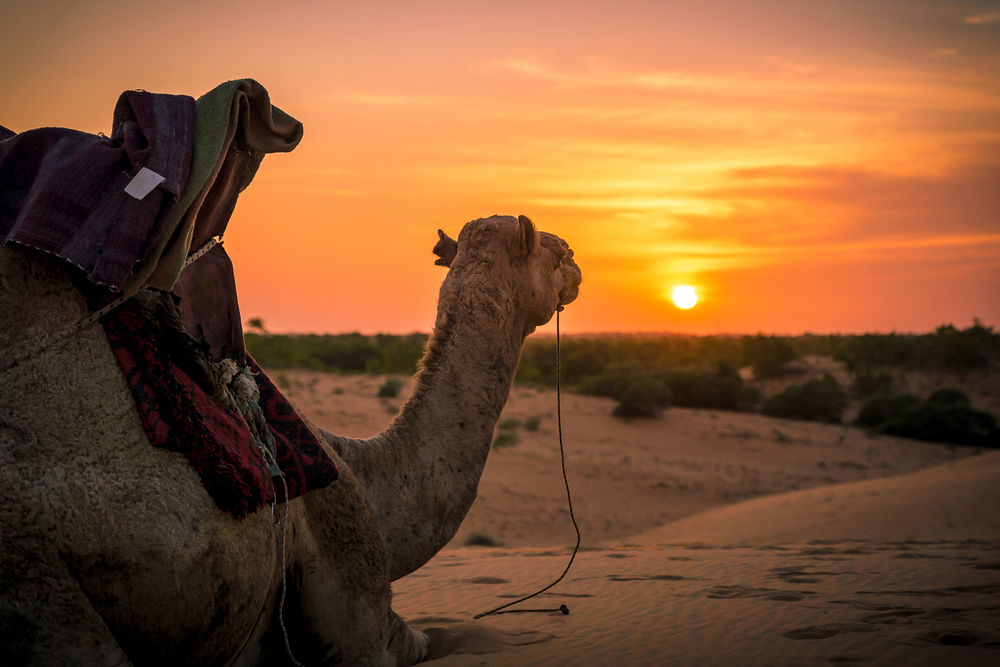 Experiencing Africa’s 10 Unique Deserts | TravelAwaits