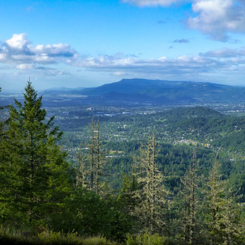 10 Best Hikes Near Eugene, Oregon | TravelAwaits