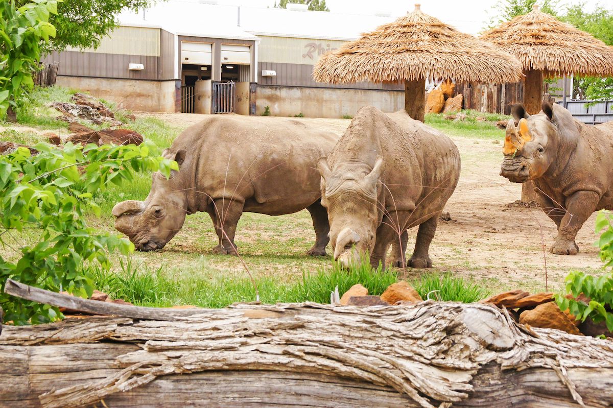 12 Best Things To Do During An Overnight Stay In Salina, Kansas