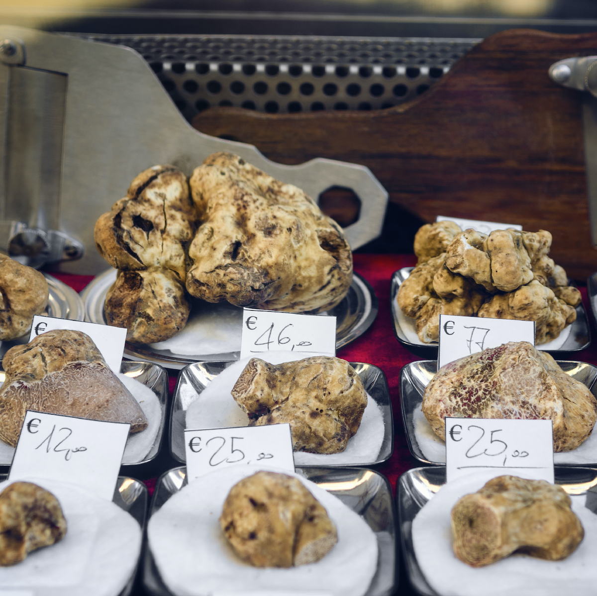 9 Best Truffle Festivals To Visit In Italy TravelAwaits