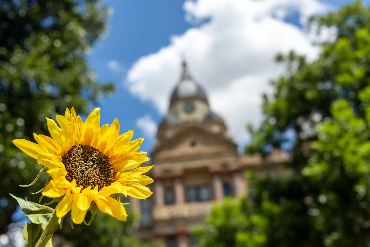 Best Things To Do In Denton | TravelAwaits