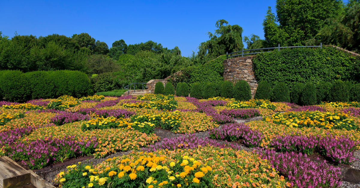 ノースカロライナ州美しいアシュビルでの6つの最高の屋外体験