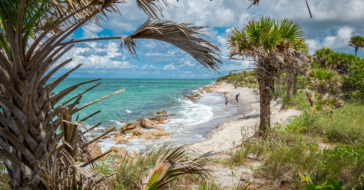 14 Best Things To Do In Venice, Florida | TravelAwaits
