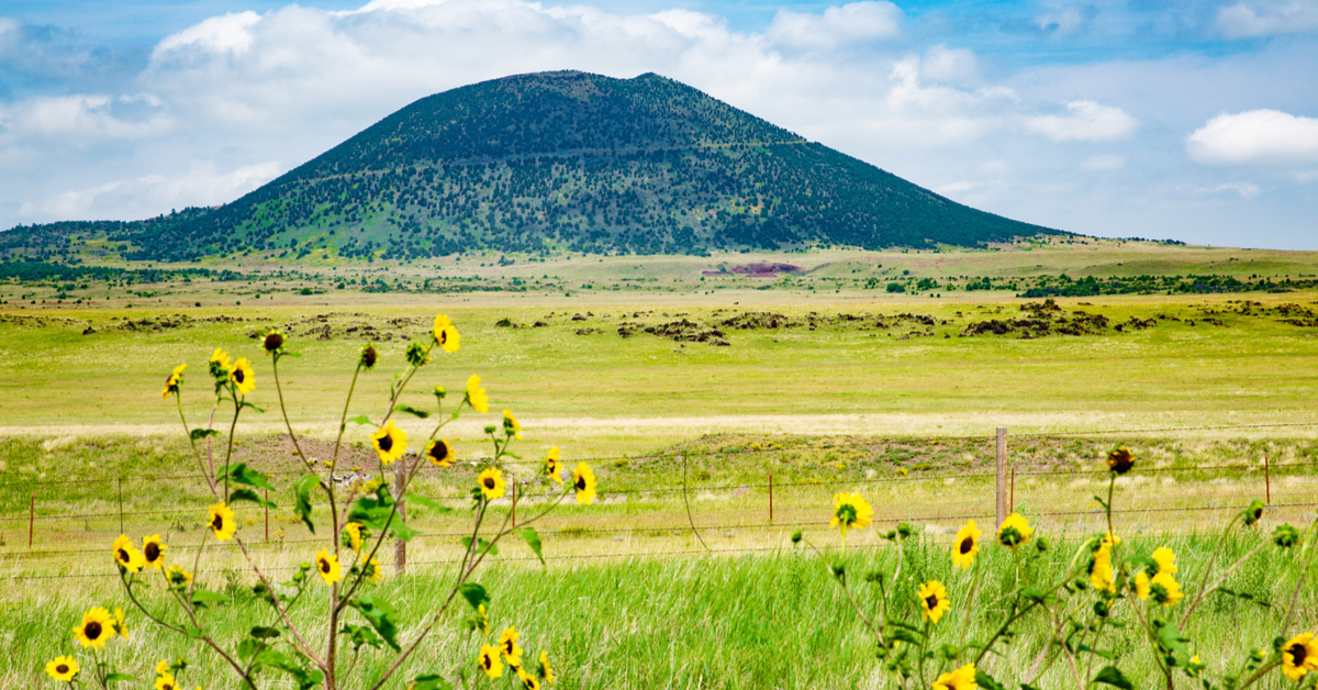 ニューメキシコ州のカプリン火山国定記念物で素晴らしい一日を過ごす方法