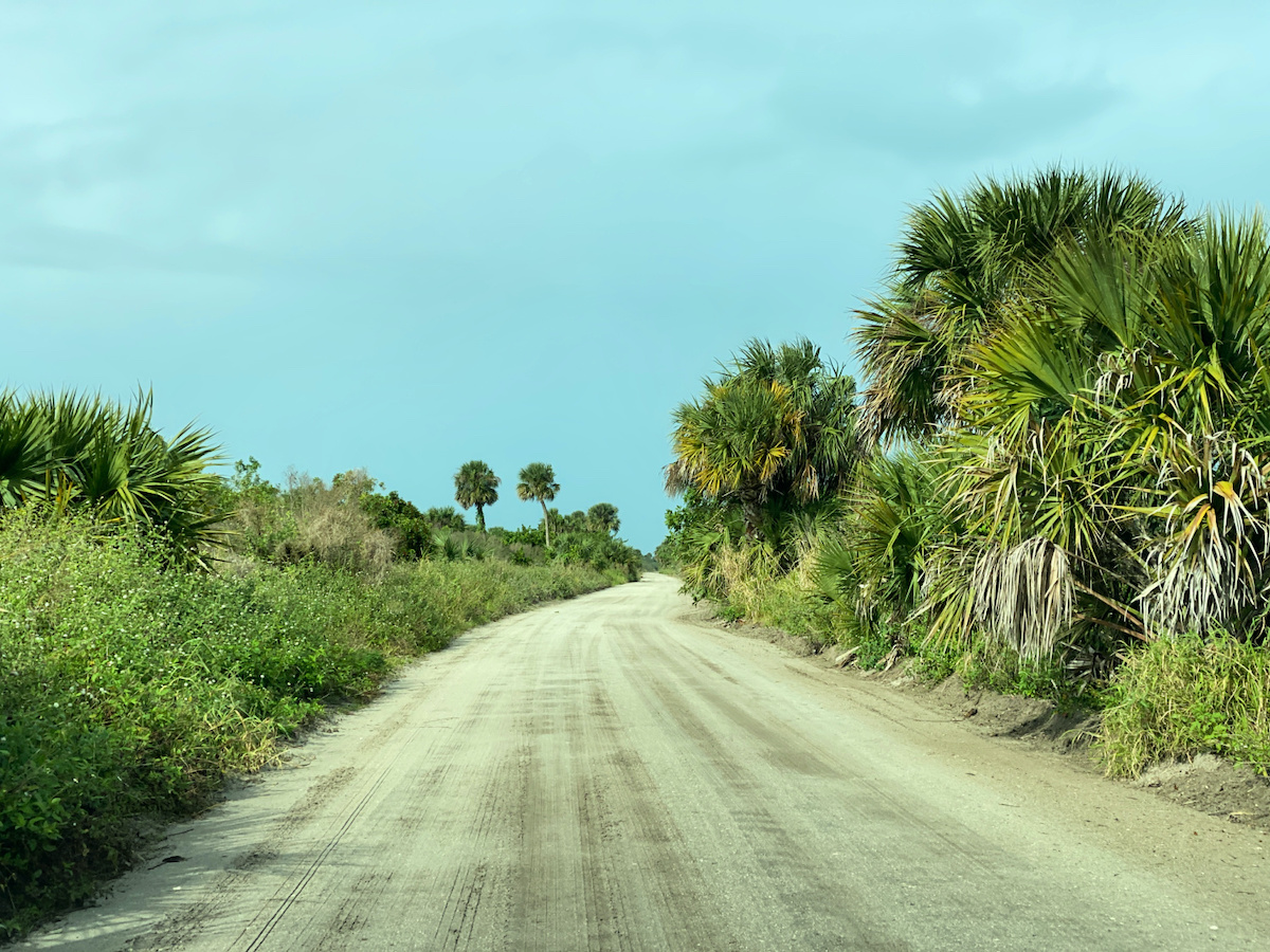 フロリダ州セバスチャンで素晴らしい一日を過ごす方法