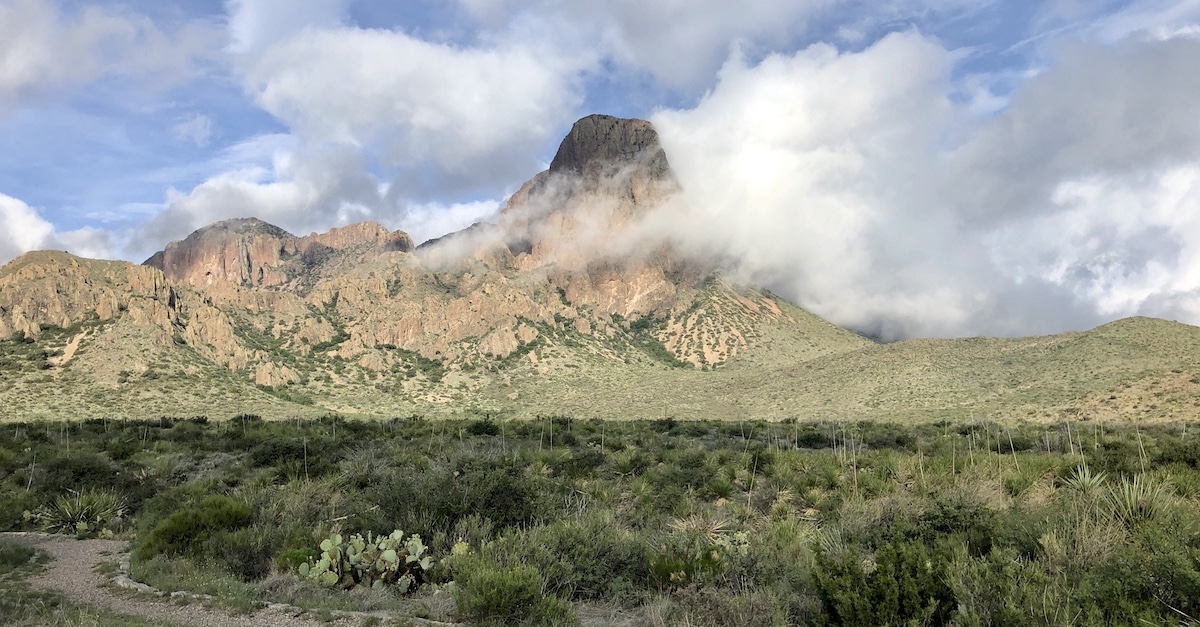 ビッグベンド国立公園対グアダルーペ山国立公園：8つの重要な違い