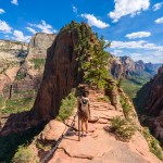 Zion May Soon Require Reservations For Angels Landing Hike | TravelAwaits