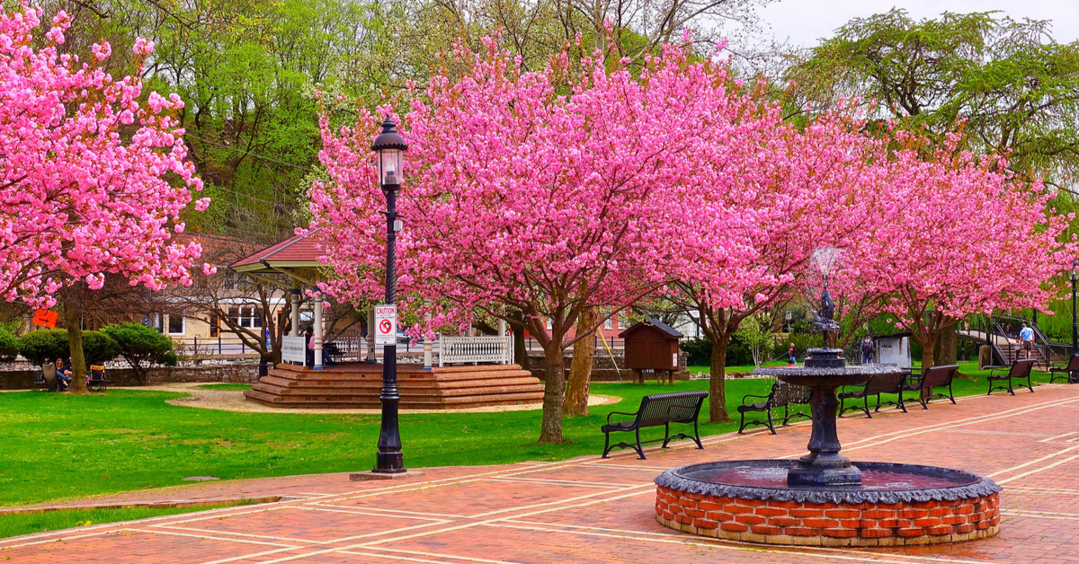 ペンシルベニア州趣のあるベルフォンテで完璧な週末を過ごす方法