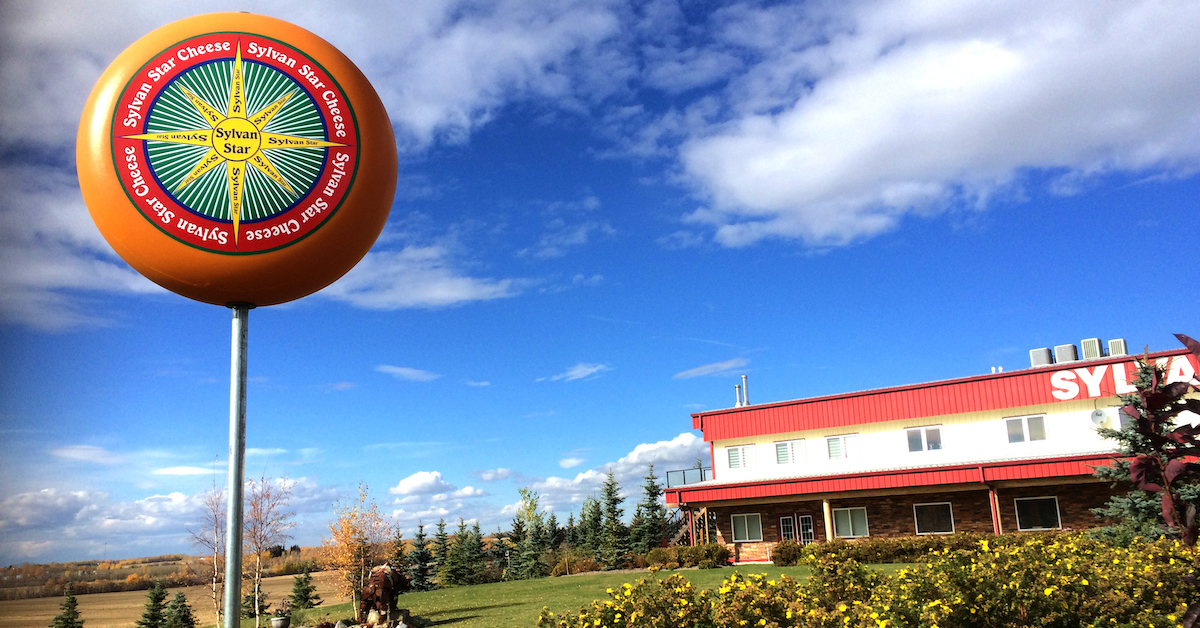 アルバータ生まれのチーズの地元の人々は大好きです