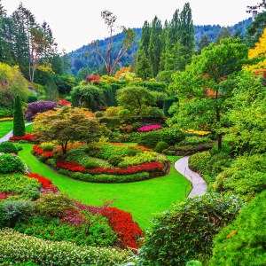 6 Gorgeous Gardens To Visit Near Victoria | TravelAwaits