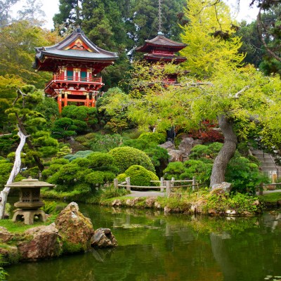 12 Fantastic Things To Do At Golden Gate Park | TravelAwaits