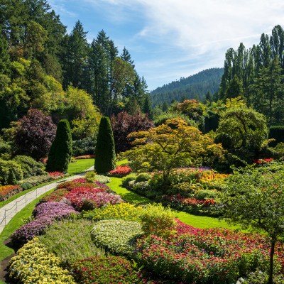 8 Best Experiences At Butchart Gardens | TravelAwaits