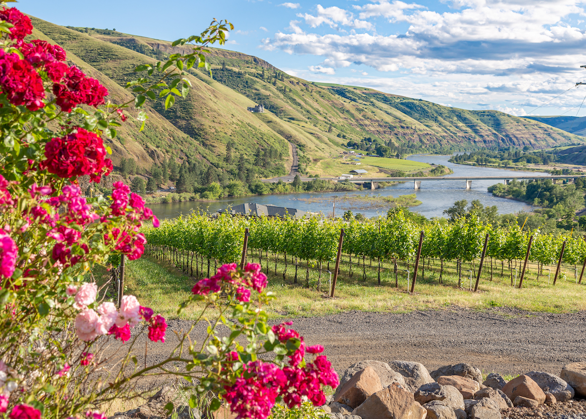 7 Wineries You Will Fall In Love With In Idaho’s LewisClark Valley