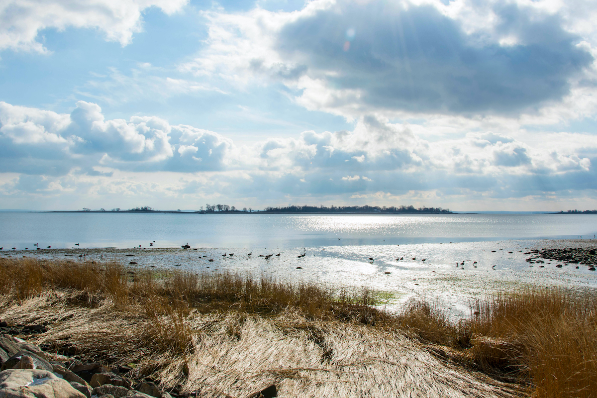 How To Spend A Perfect Weekend In Beautiful Norwalk, Connecticut