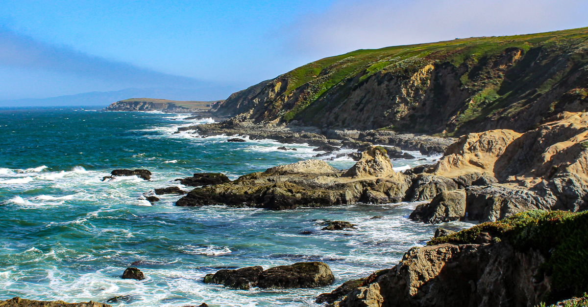 カリフォルニア州沿岸ボデガ湾でやるべき素晴らしいこと