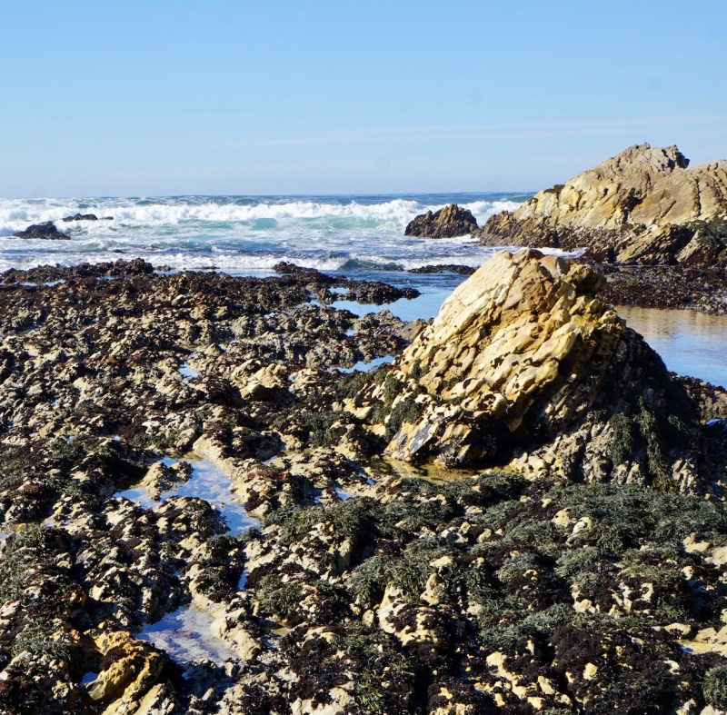 7 Incredible Things To Do In Montana De Oro State Park | TravelAwaits