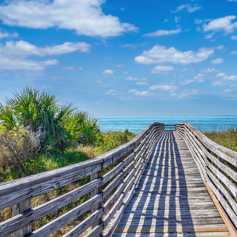 Fabulous Things To Do On Beautiful Honeymoon Island