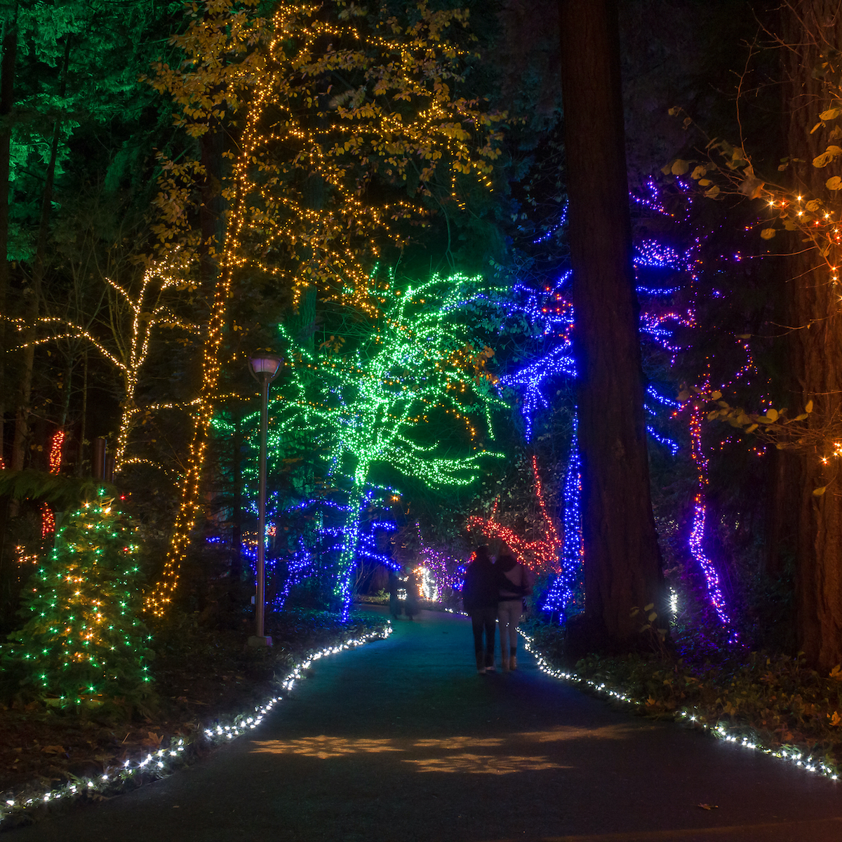 15 Most Magical Experiences at Christmas in Portland, Oregon TravelAwaits