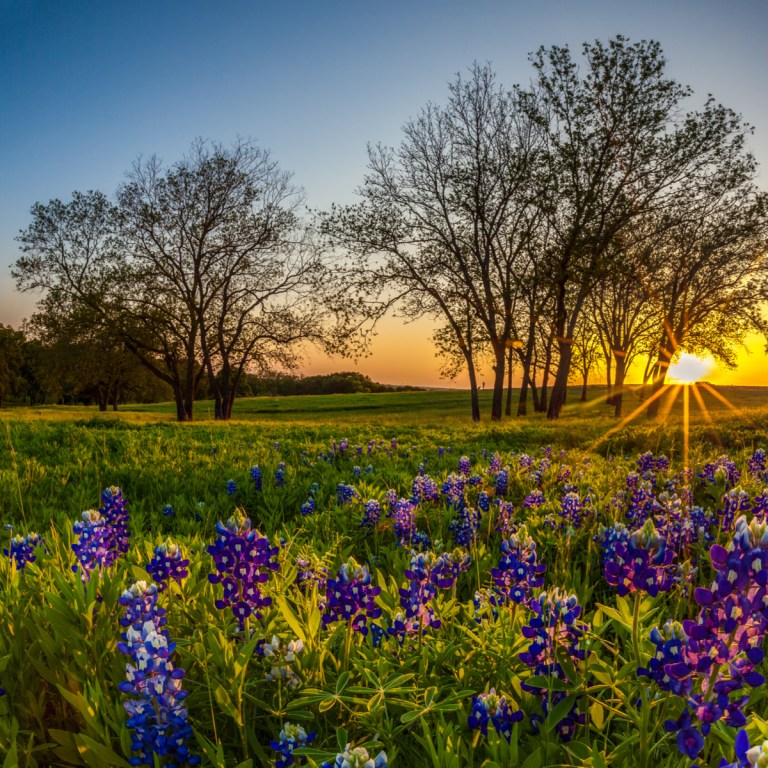 11 Charming Czech Towns To Visit In Texas | TravelAwaits