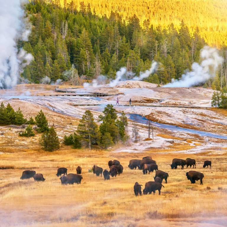 Yellowstone Eliminates Restrictions On Snowmobiles, Snowcoaches Saying ...