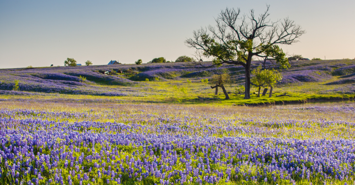 11 Charming Czech Towns To Visit In Texas | TravelAwaits