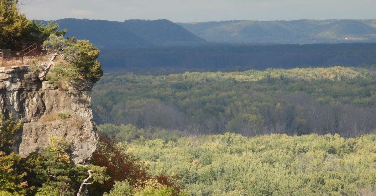 ミシシッピ川沿いの11の驚くべきワシングスポット