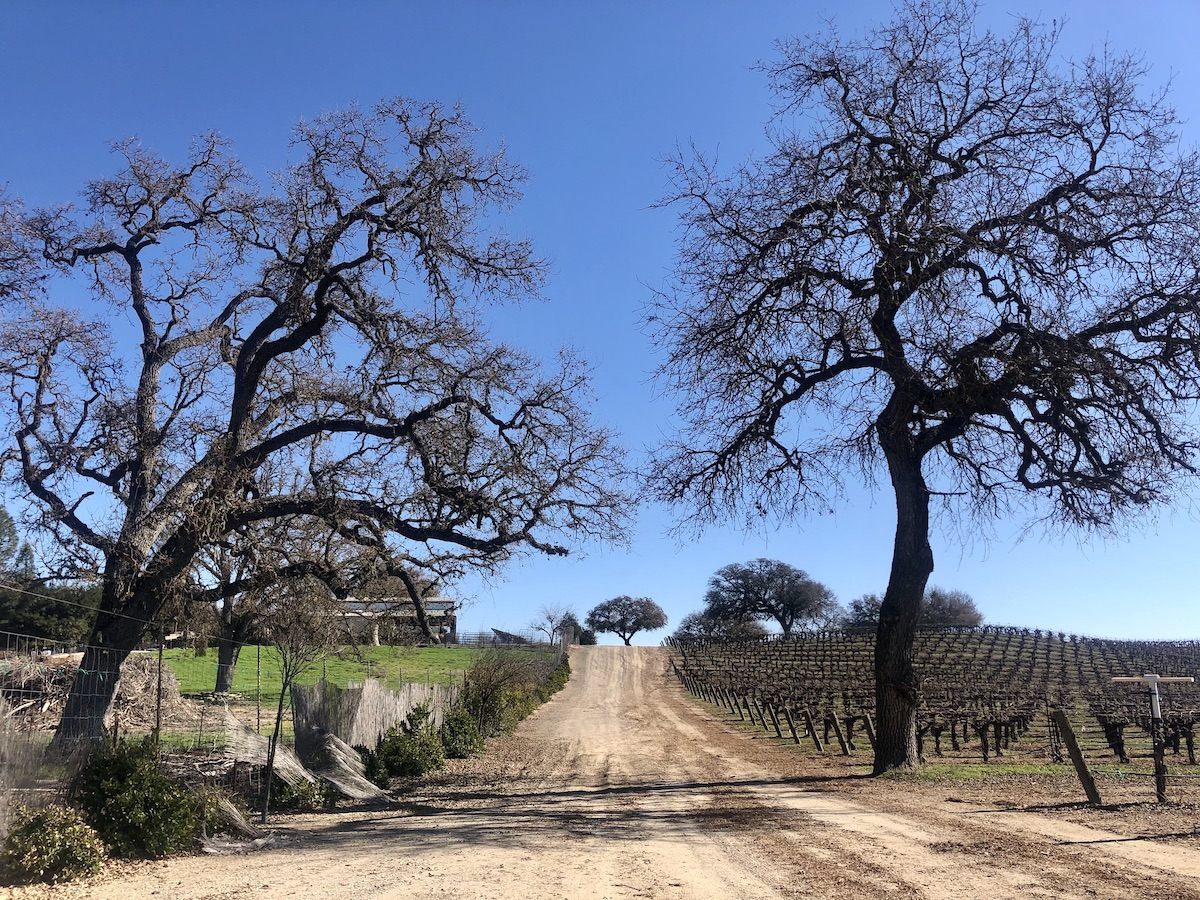 春中のカリフォルニア中央海岸のロードトリップでの7つの美しい停留所