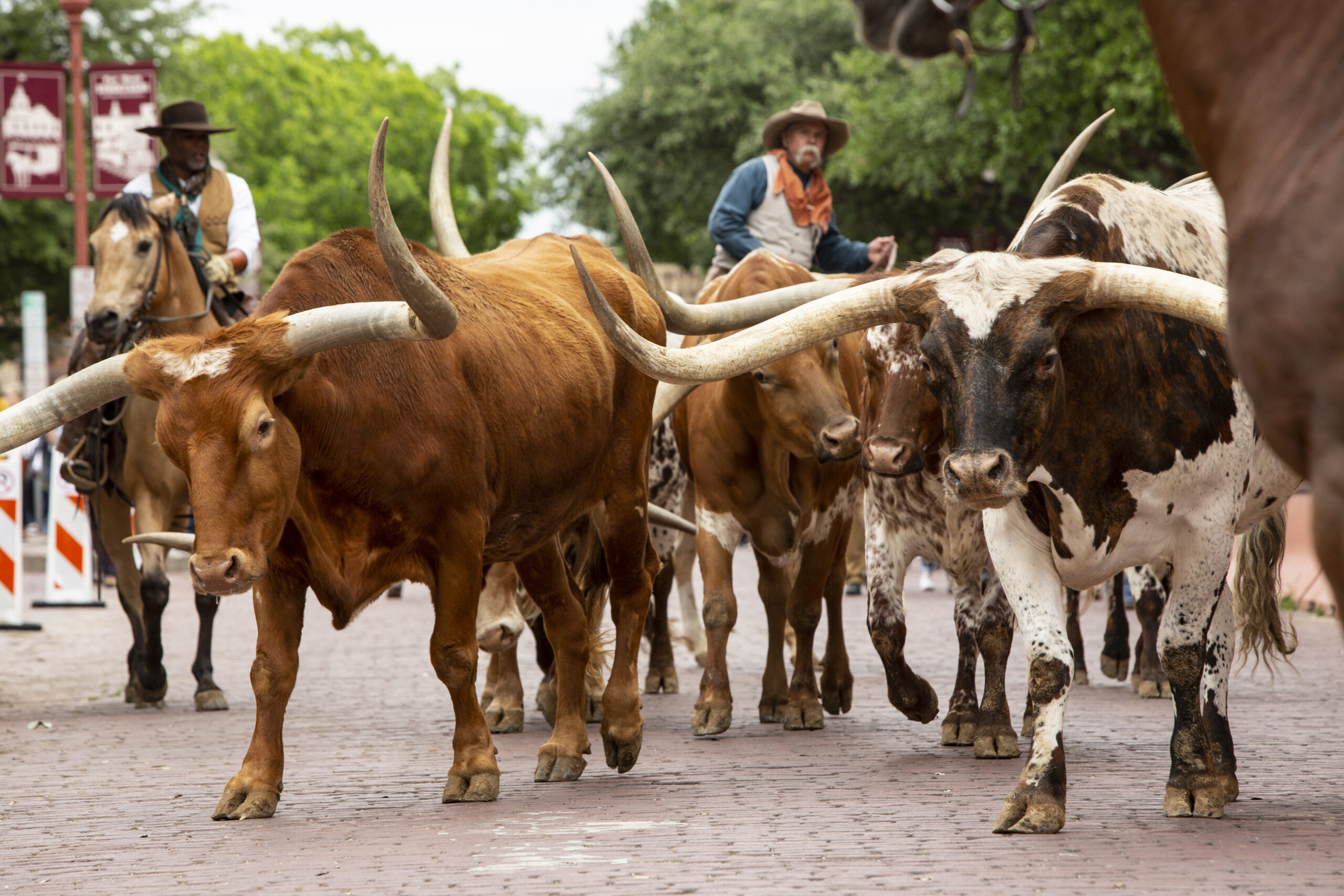 このテキサスの町で「1883」の舞台裏に行く