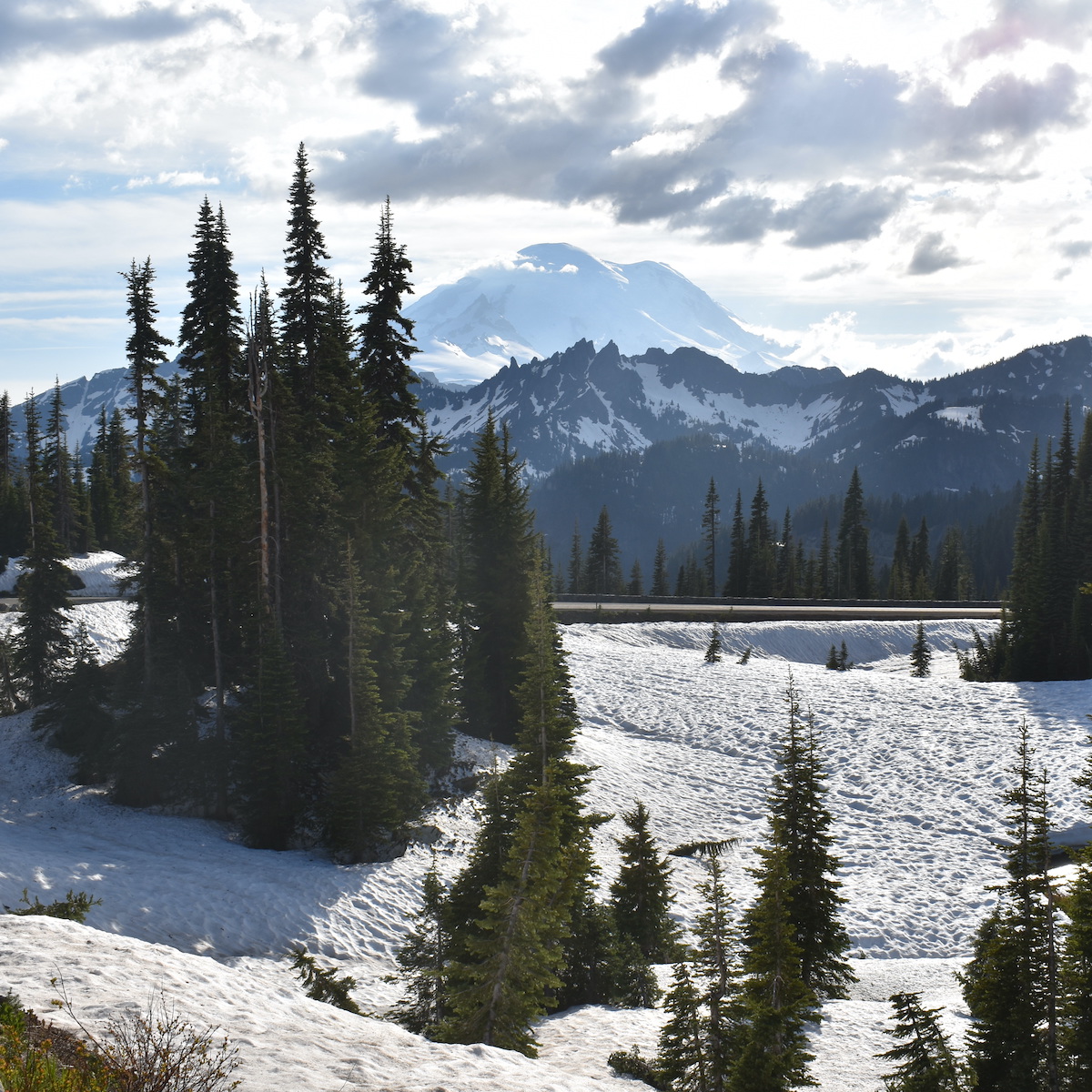 Annual Snowfall Totals - Mount Rainier National Park (U.S.