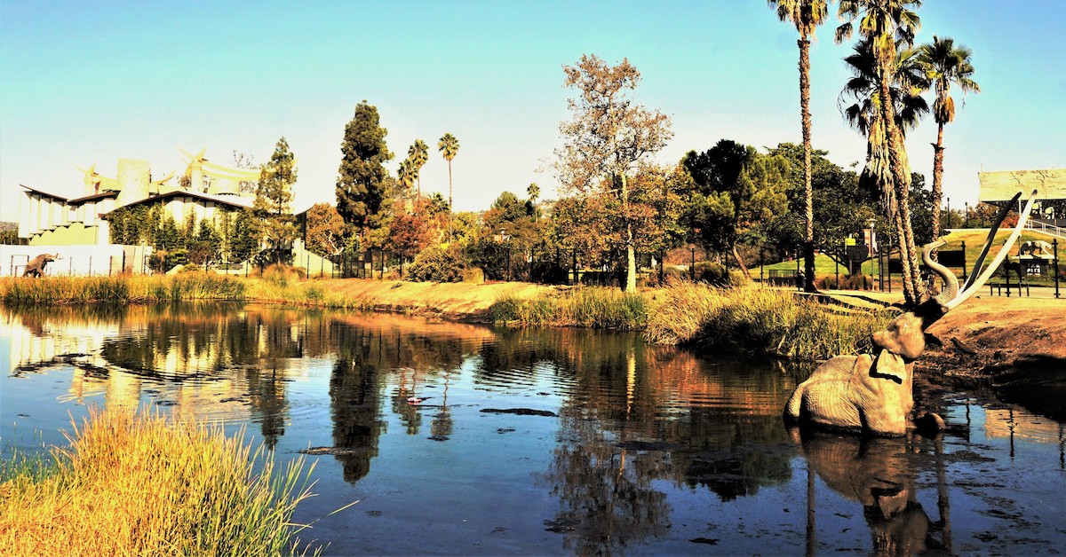 ロサンゼルスの中心部で体験できる生きている氷時代の発見
