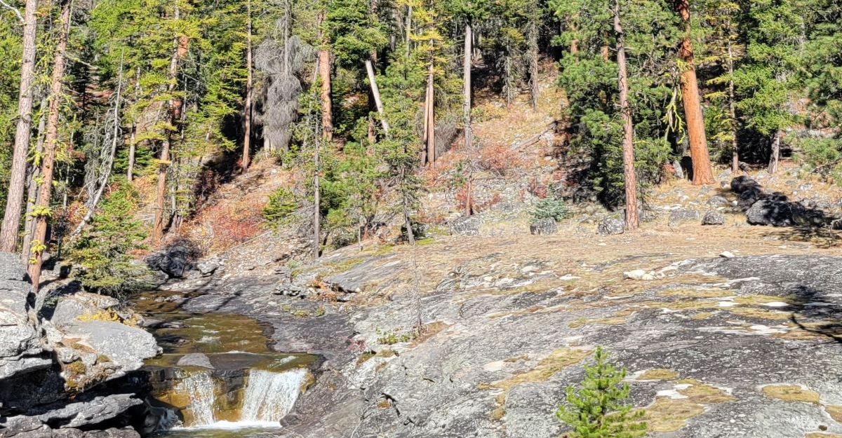 モンタナの美しいビタールートバレーで探索する7つの驚くべきこと