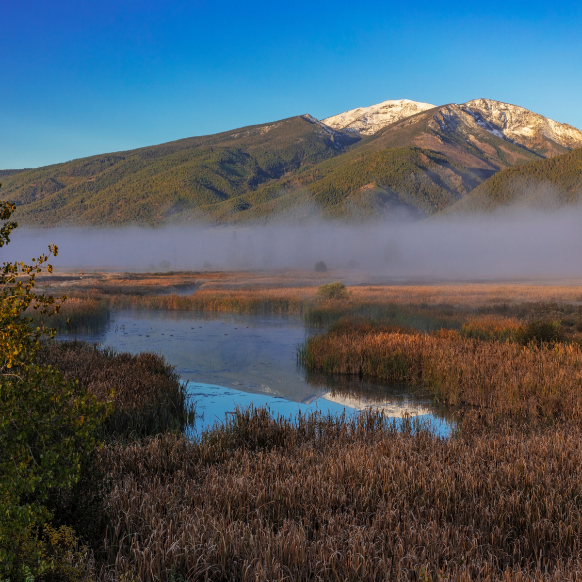 Food and Drink  Mountains to Marsh