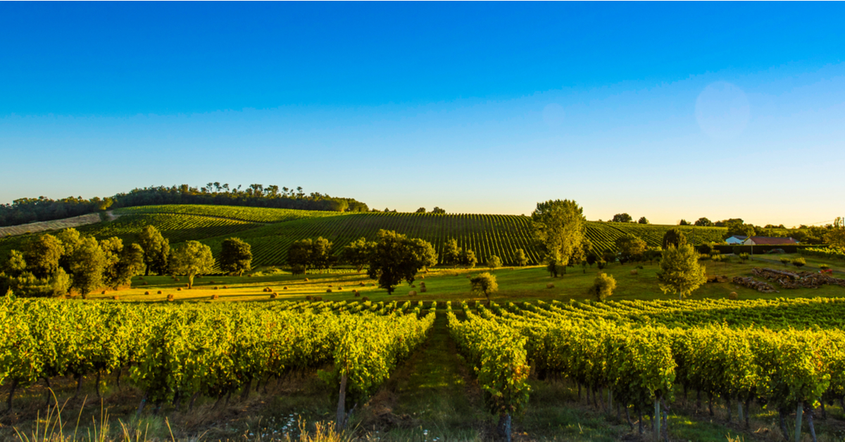 あなたがボルドーで試す必要がある秘密の甘いワイン
