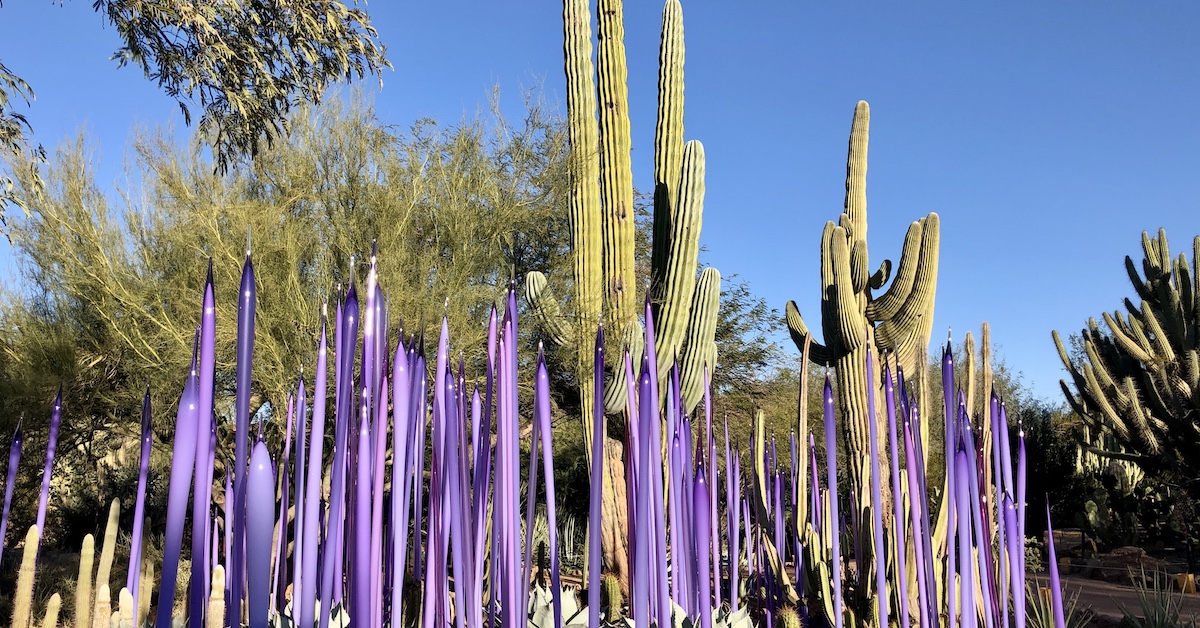 フェニックスの砂漠植物園で私の8つのお気に入りのチフリーガラスアート作品