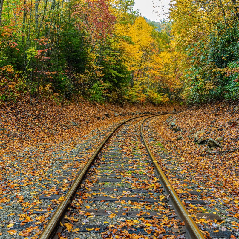 Vintage Train Ride Returns To West Virginia’s New River