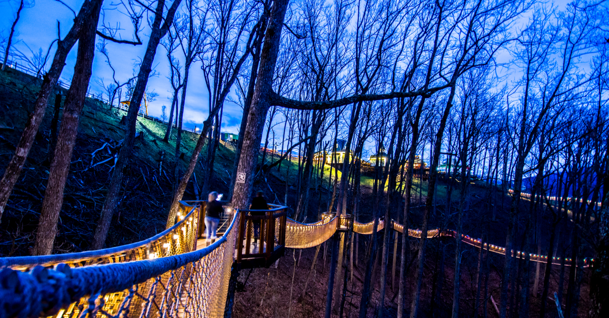 今年の秋にテネシー州のスモーキー山脈に来る新しい夜間の経験