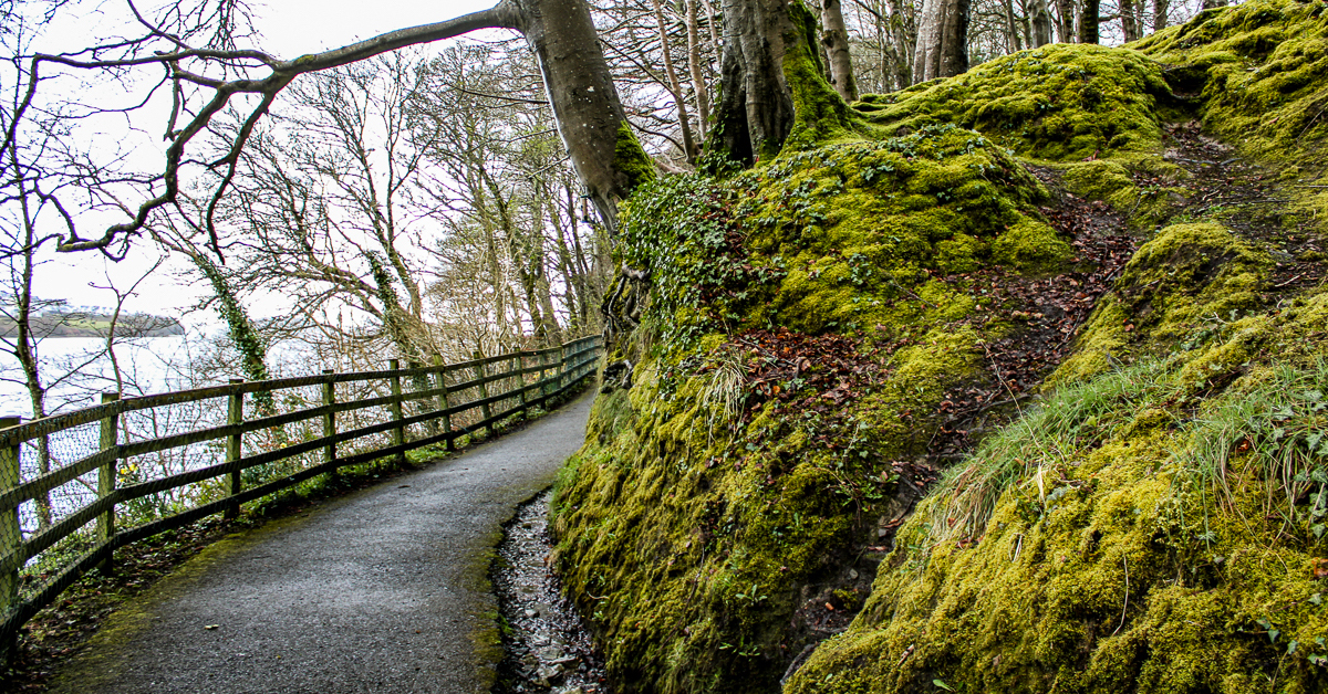 매력적인 도네 갈에서의 10 가지 놀라운 경험
