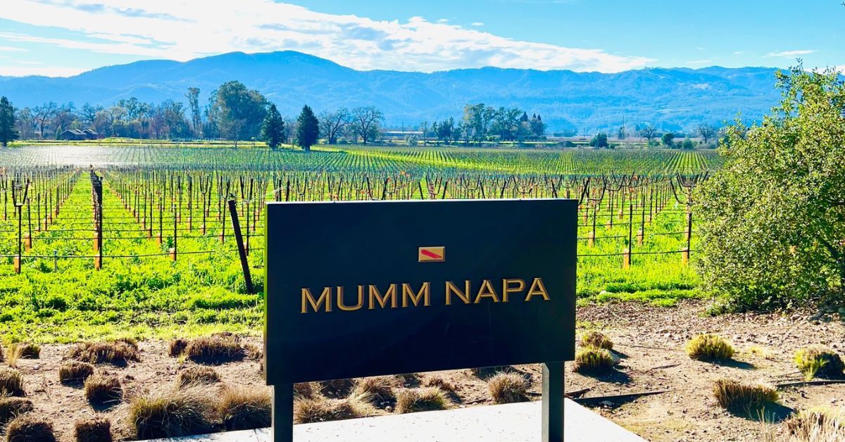 9 Fantastic Wineries To Visit In Napa During The Summer | TravelAwaits