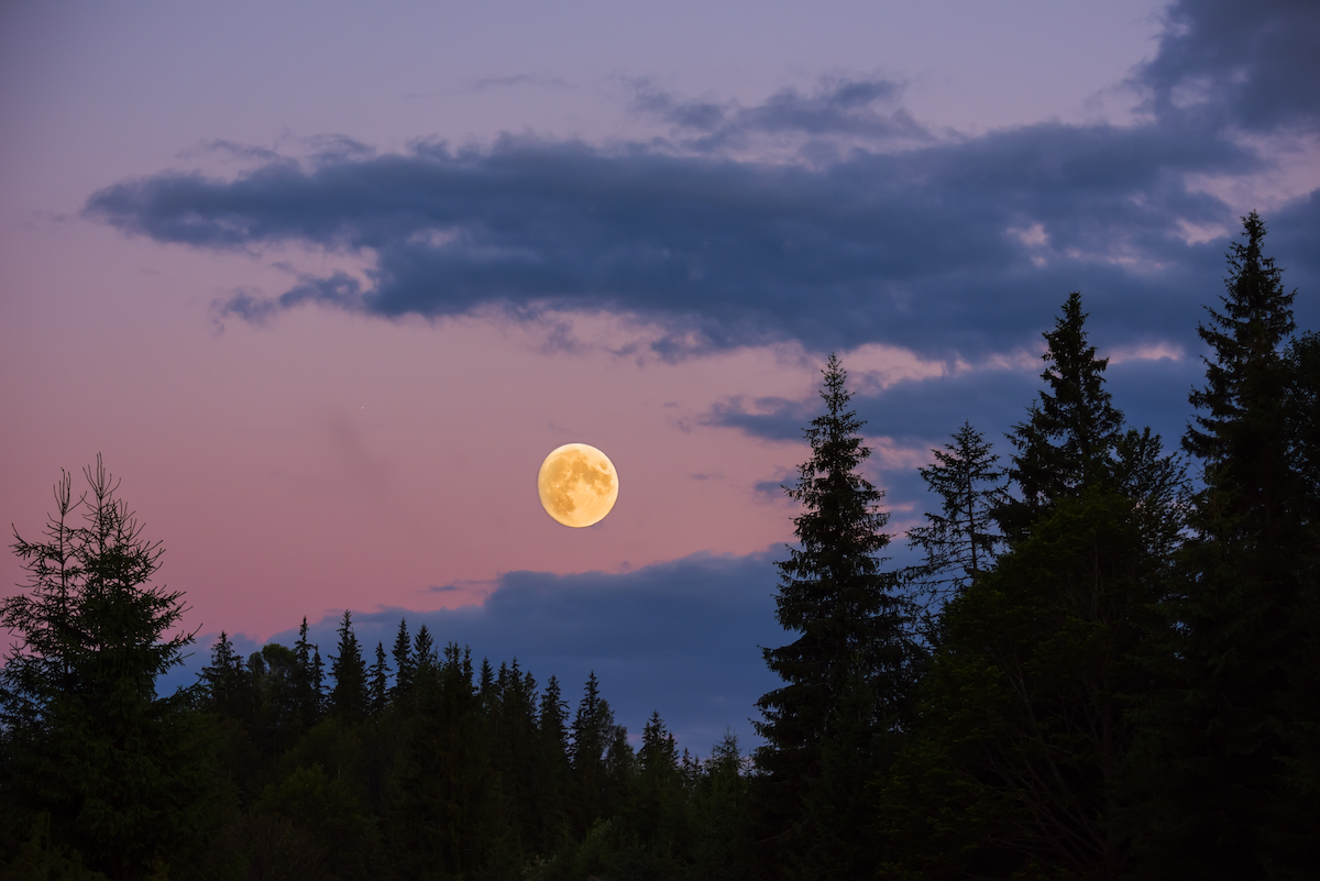 July’s Supermoon Will Be The Biggest And Brightest Of 2022, When You ...